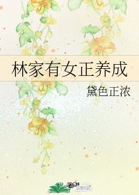 林家有女初修仙 ——作者:宝妆成