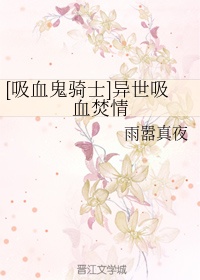 吸血鬼骑士小说原创女主是谁