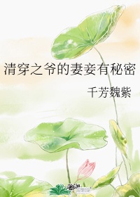 清穿之爷的妻妾有秘密作者:千芳魏紫