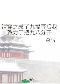 清穿成九爷嫡福晋的小说推荐