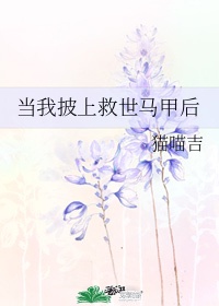 我披上袈裟是什么歌曲