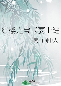 红楼之?g爱宝玉