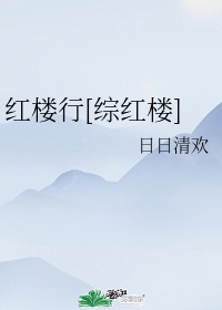 红楼兵仙无防盗