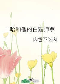 二哈和他的白猫师尊讲的什么故事合集