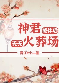 开局被女战神退婚小说