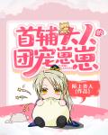 首辅大人宠妻日常txt无防盗