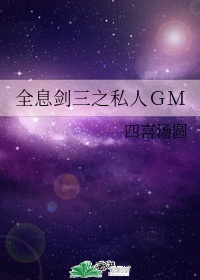 《全息剑三之私人gm》百度云