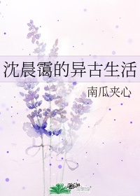 沈晨霭的异古生活讲的什么