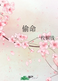 偷命师南星人物介绍