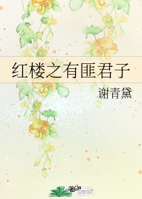 《红楼之有匪君子》