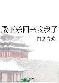 从将军大结局