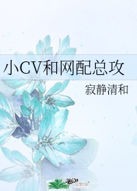 小cv和网配总攻 原型