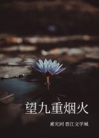 香港西九烟花