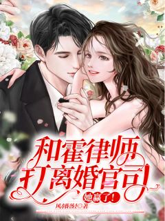 小说霍律师女主生了对龙凤胎