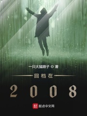 回档2008年txt