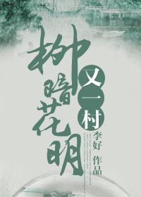 柳暗花明又一村作文600字记叙文