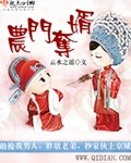 农门夺婿 小说