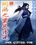 网游小说叫紫枫的主角