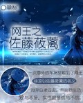 新网球王子为什么没有佐伯出场